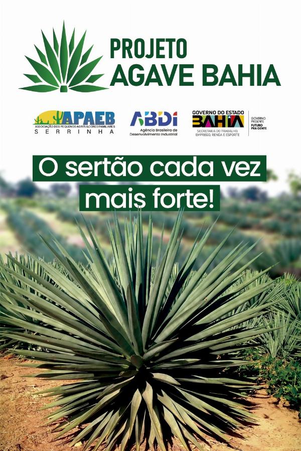 APAEB SERRINHA  EXECUÇÃO DE PROJETO, VISANDO A PRODUÇÃO DE BIOCOMBUSTÍVEL NO TERRITÓRIO DO SISAL