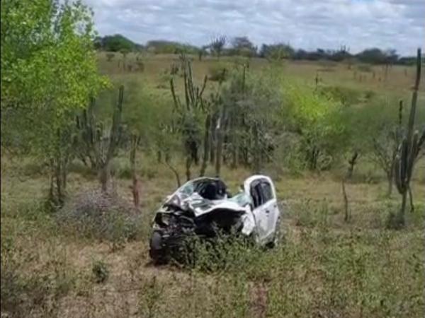 Colisão entre carro e cavalo deixa animal morto na BR-116 Norte em Serrinha