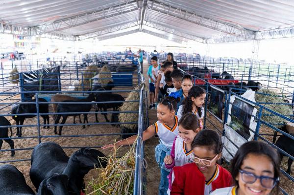 ExpoSerrinha movimenta a Nova Arena Marianão com atrações culturais, feira agropecuária e R$ 65 mil em premiações